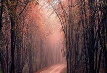 四川男篮经验丰富，收获连胜