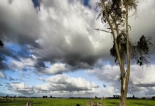 沃尔夫斯堡客场失利，遭遇重大挫折