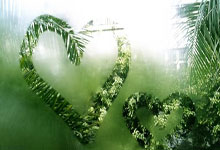 沃尔夫斯堡客场失利，遭遇重大挫折